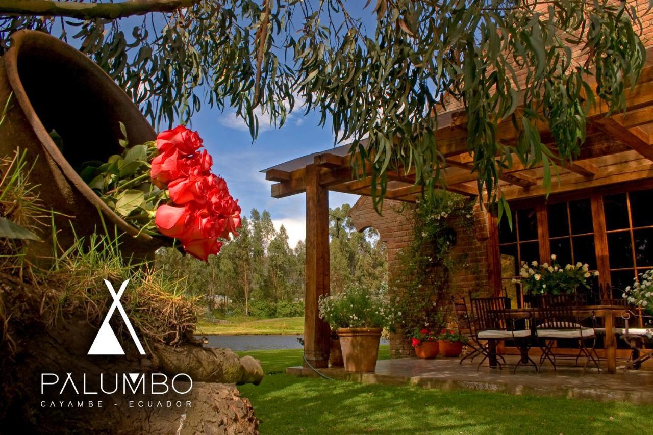 Palumbo Glamping&Villas Cayambe Esterno foto