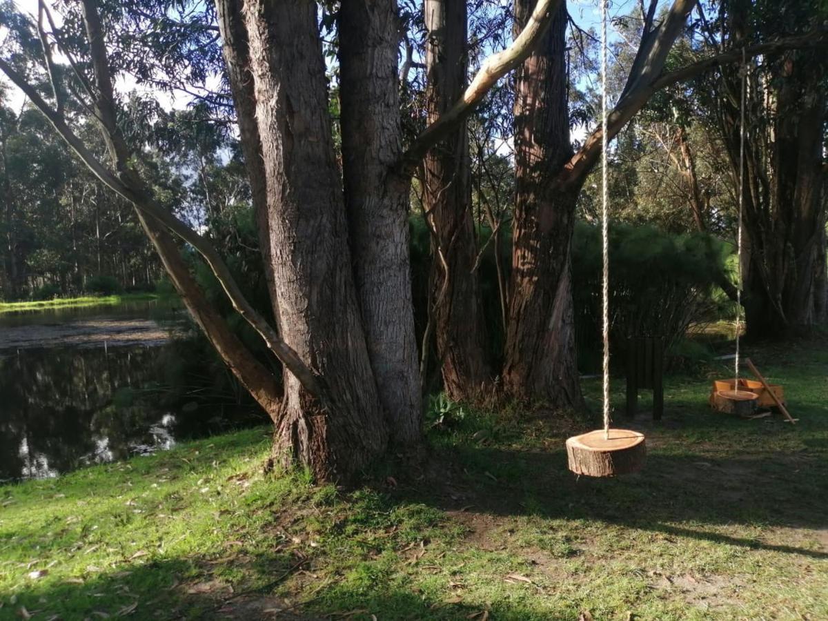 Palumbo Glamping&Villas Cayambe Esterno foto