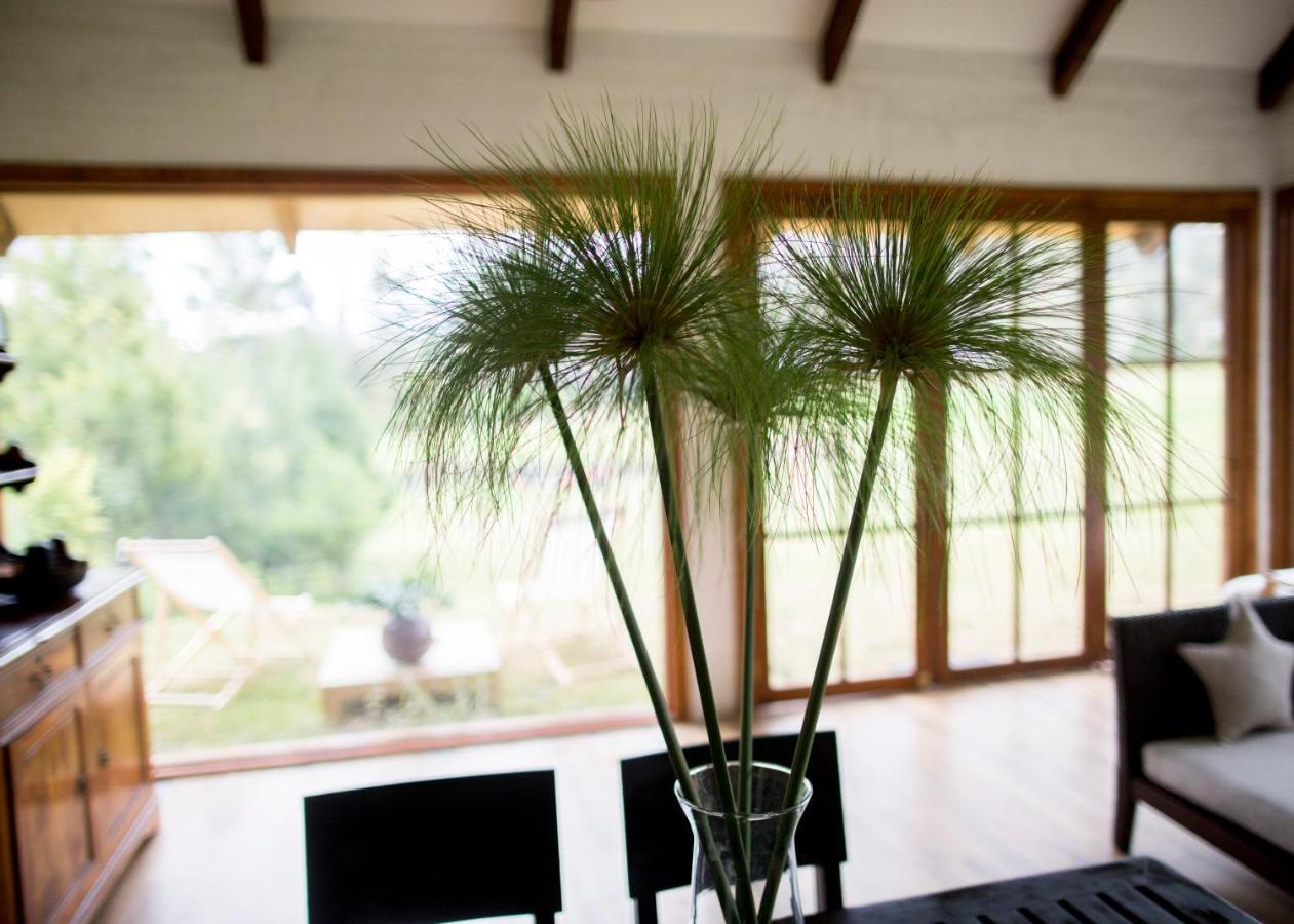 Palumbo Glamping&Villas Cayambe Esterno foto