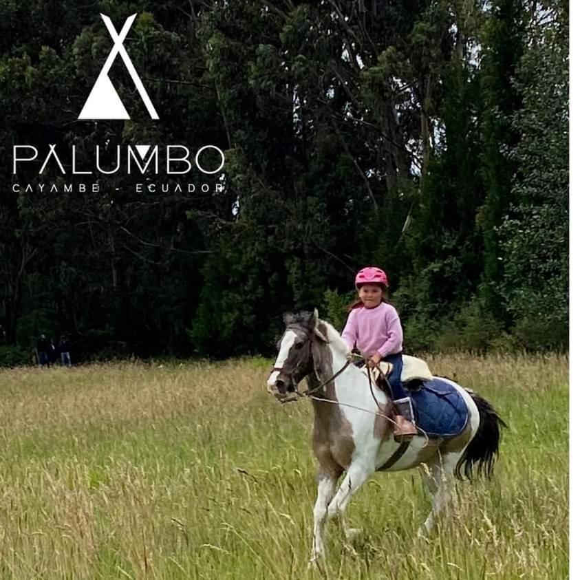 Palumbo Glamping&Villas Cayambe Esterno foto