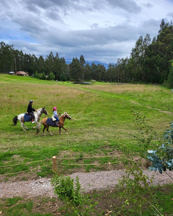 Palumbo Glamping&Villas Cayambe Esterno foto