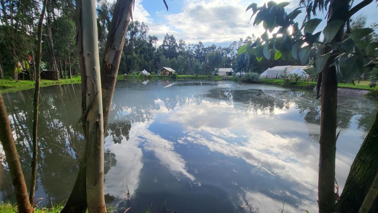 Palumbo Glamping&Villas Cayambe Esterno foto