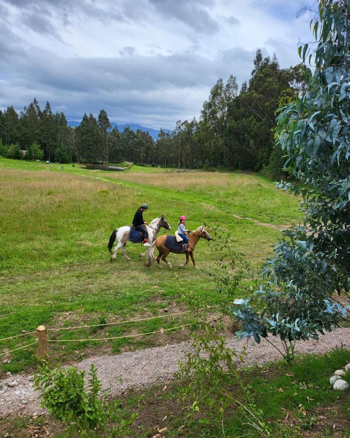 Palumbo Glamping&Villas Cayambe Esterno foto