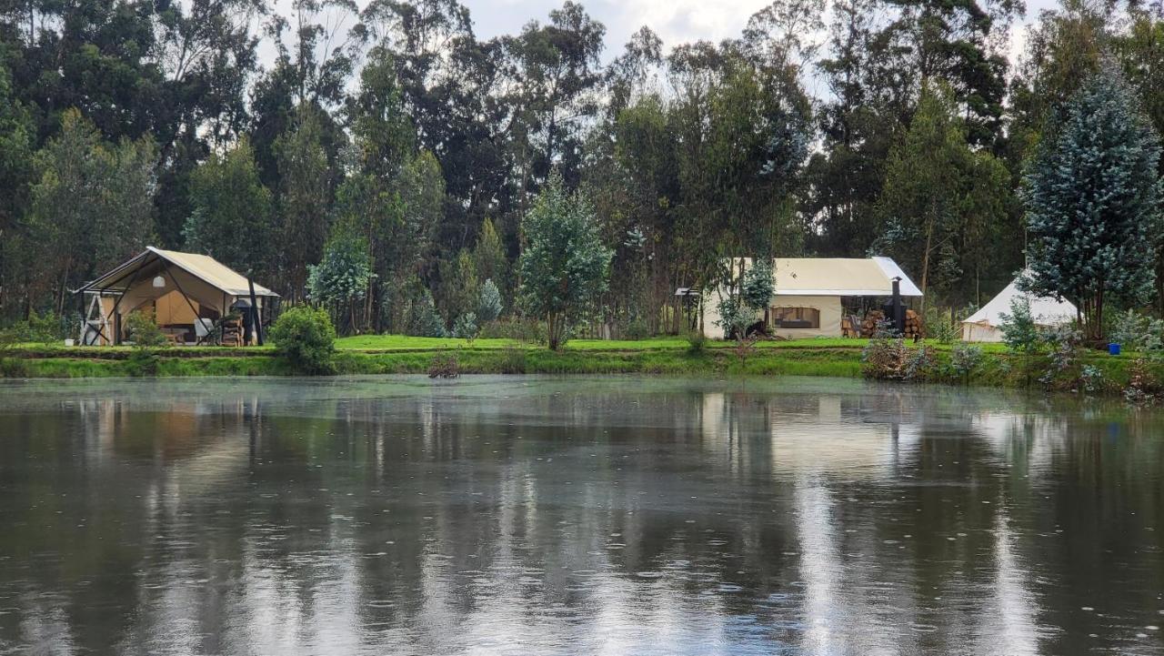 Palumbo Glamping&Villas Cayambe Esterno foto