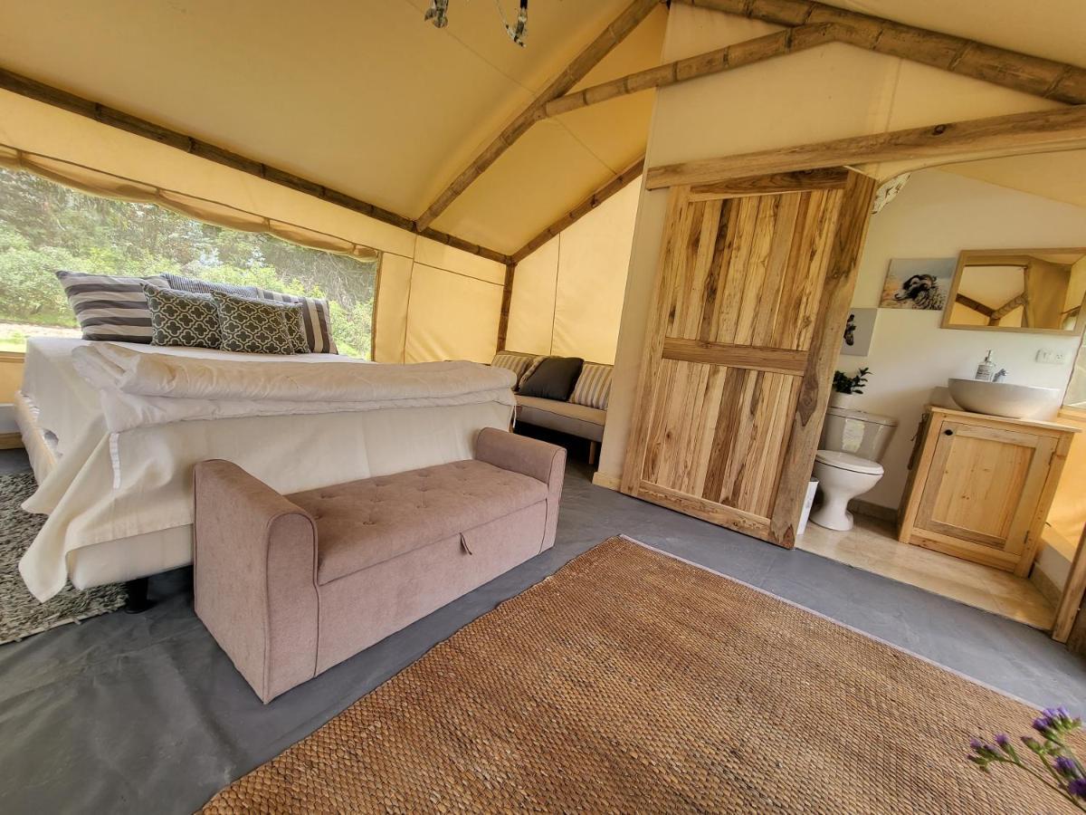 Palumbo Glamping&Villas Cayambe Esterno foto